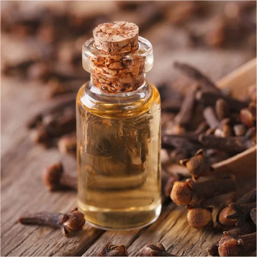 Extract de cuișoare - Syzygium aromaticum